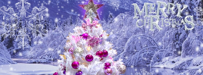 pink christmas cover photos for facebook timeline