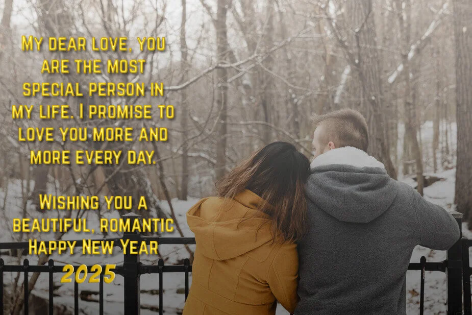 Happy New Year 2025 Wishes For Girlfriend Wife