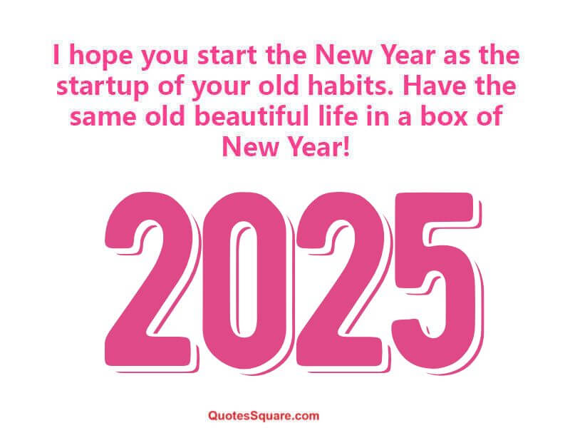 Hilarious New Year 2025 Jokes Funny Quotes