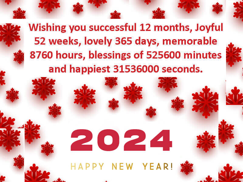 Funny New Year 2024 Wishes