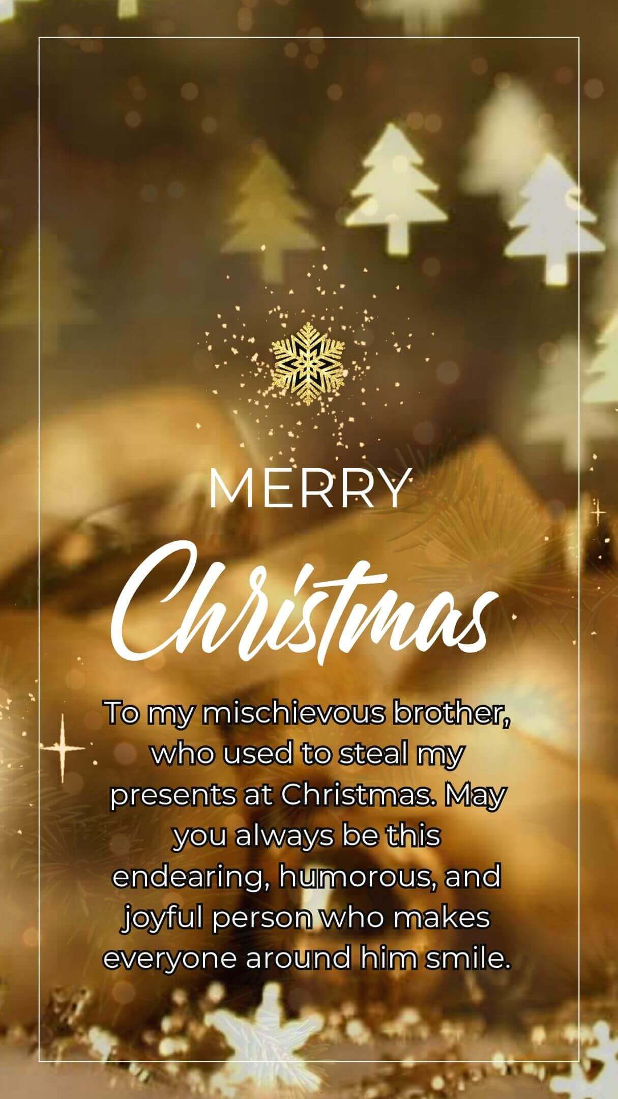 Merry Christmas Wishes To My Brother