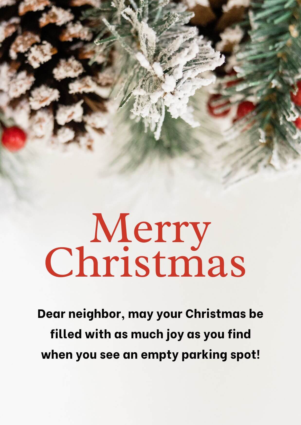Funny Christmas Wishes For Neighbours