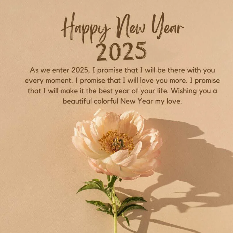 Happy New Year 2025 To My Wife (1)