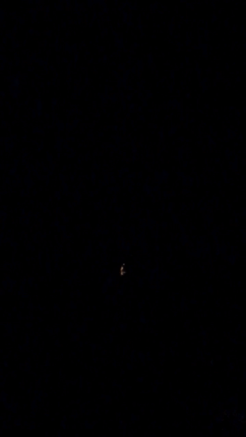 Happy New Year Gif 2026 Status