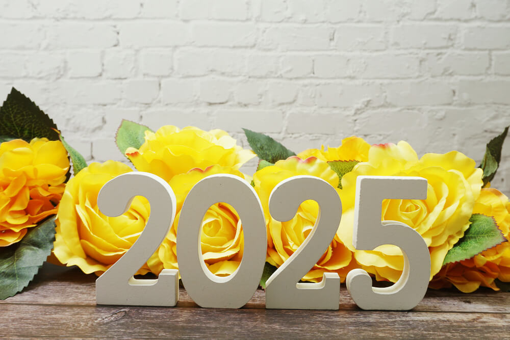 Happy New Year 2025 Background With Images