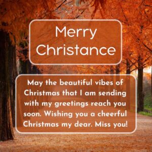 100+ Christmas Wishes for Loved Ones Far Away 2024 - Quotes Square
